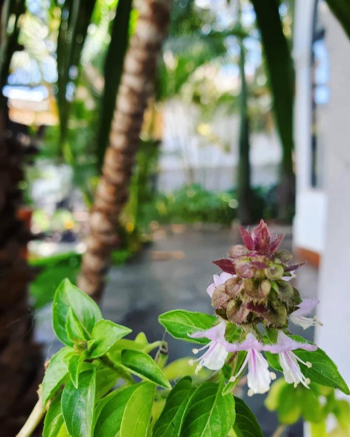 Hotel Tlaquepaque Pueblito Zewnętrze zdjęcie